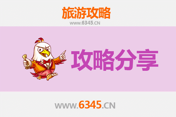 潜江张金镇旅游攻略：跟团与自由行深度对比
